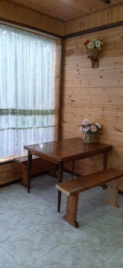 Olga Guest House Cholpon-Ata Exterior foto